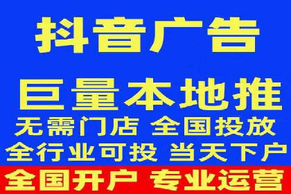 XX领域竞价广告的投放策略及效果展示